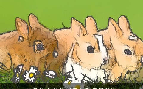 属龙的人开公司怎么起名最旺财