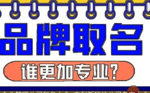 企业管理公司起名大全 吉利新颖的公司名字大全
