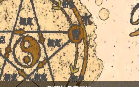 荆荫竺名字五行