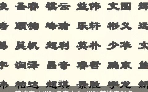 带博字的男孩名字大全 男孩带博字起名