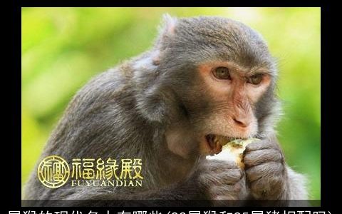 属猴的现代名人有哪些(92属猴和95属猪相配吗)