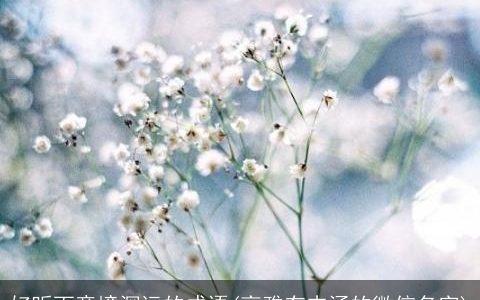 好听而意境深远的成语(高雅有内涵的微信名字)