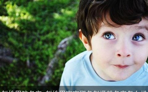 赵姓男孩名字_赵姓男宝宝取名赵泽毅名字怎么样