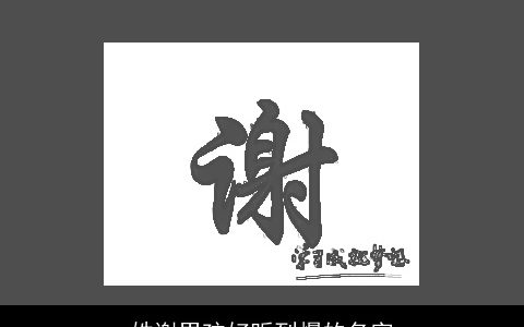 姓谢男孩好听到爆的名字