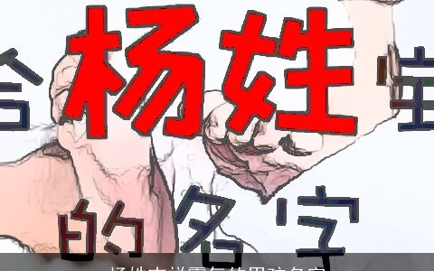 杨姓吉祥霸气的男孩名字