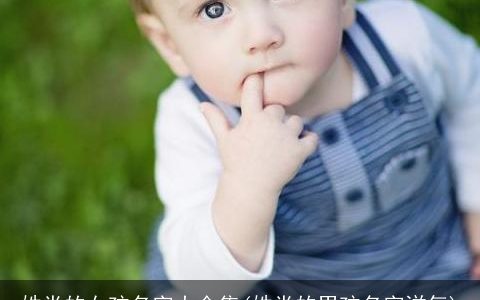 姓党的女孩名字大全集(姓党的男孩名字洋气)