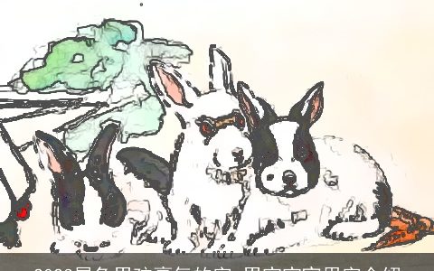 2024属兔男孩豪气的字 男宝宝宜用字介绍