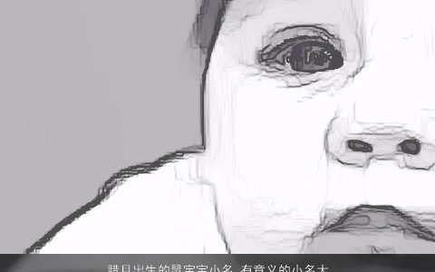 腊月出生的鼠宝宝小名 有意义的小名大全推荐 吉利新颖的鼠宝宝小名小名名字