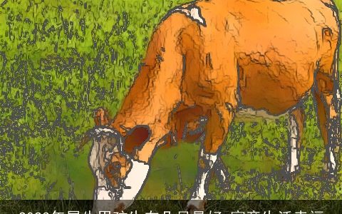 2024年属牛男孩生在几月最好 寓意生活幸福