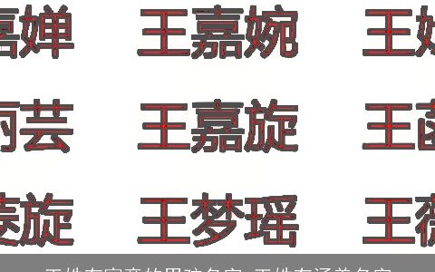 王姓有寓意的男孩名字 王姓有涵养名字