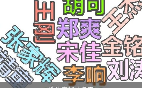 姓沈有趣的名字