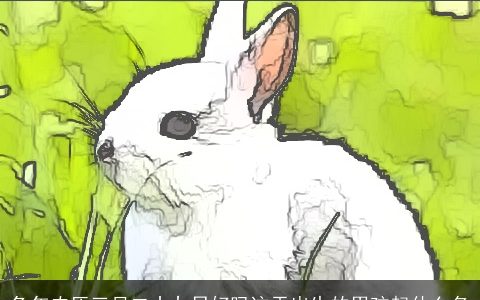 兔年农历三月二十九日好吗这天出生的男孩起什么名