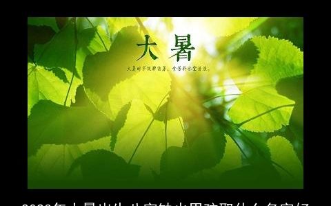 2024年大暑出生八字缺火男孩取什么名字好