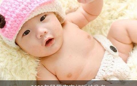 2023年鼠男宝宝好听的乳名