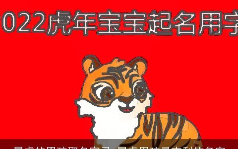 属虎的男孩取名宜忌 属虎男孩最吉利的名字