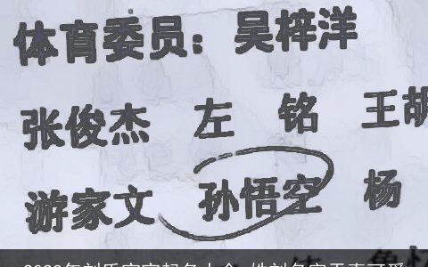 2023年刘氏宝宝起名大全 姓刘名字天真可爱