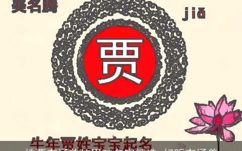 姓贾有涵养的男孩名字精选 好听有涵养