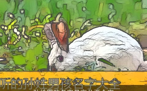 孙姓男孩名字最高分两个字