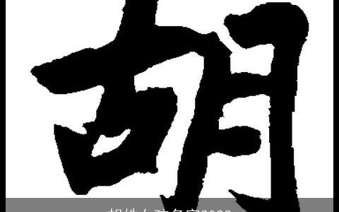 胡姓女孩名字2024