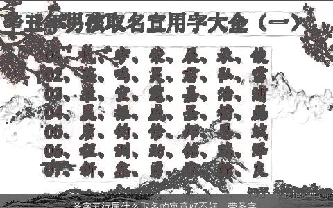 圣字五行属什么取名的寓意好不好  带圣字的男孩名字大全洋气 寓意洋气的带字男孩名