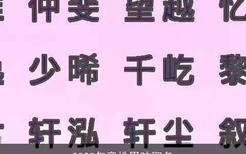 2023年童姓男孩取名