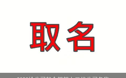 2024给公司起个朗朗上口的公司名称
