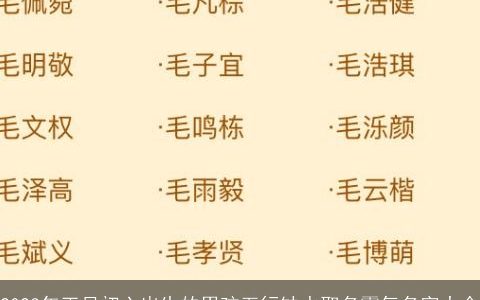 2023年正月初六出生的男孩五行缺水取名霸气名字大全