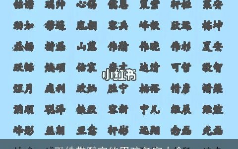 王姓带鹏字的男孩名字大全