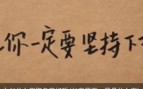 九加什么字取名字好听(加字辈下一辈是什么字)