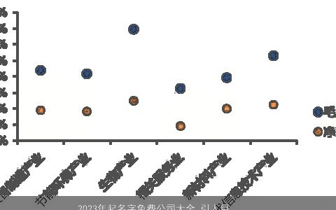 2024年起名字免费公司大全 引人目光的名字大全 漂亮有涵养的公司名字大全