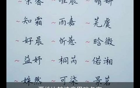 夏姓比较诗意男孩名字