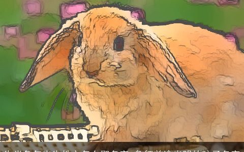 生肖兔年出生姓文怎么取名字 象征前途光明的孩子名字