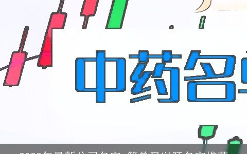 2024年最新公司名字 简单又兴旺名字推荐