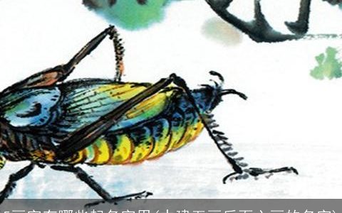 5画字有哪些起名字用(中建五画后面六画的名字)