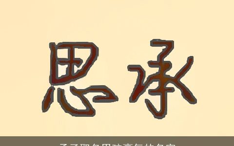 孟子取名男孩豪气的名字