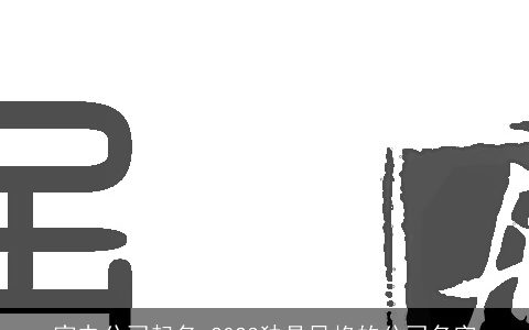 家电公司起名 2024独具风格的公司名字