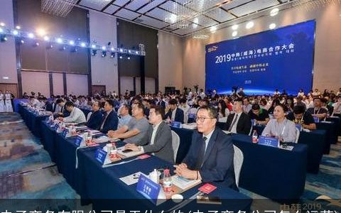 电子商务有限公司是干什么的(电子商务公司怎么运营)