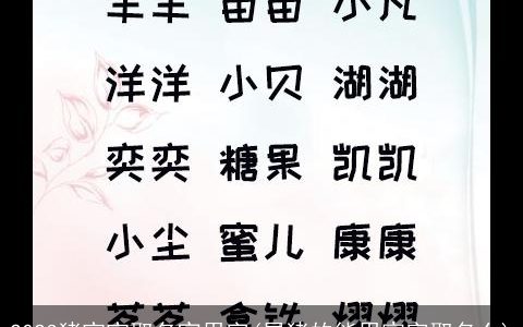 2023猪宝宝取名宜用字(属猪的能用宸字取名么)