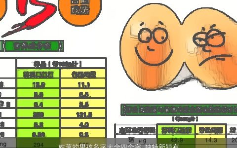 姓蒋的男孩名字大全四个字 独特新颖有内涵 独特新颖内涵的蒋姓男孩名字大全