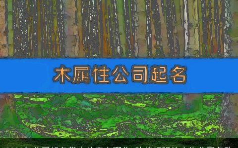 2024年公司起名带木的字有哪些 独特好听的广告公司名称