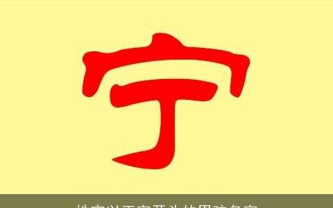 姓宁以正字开头的男孩名字