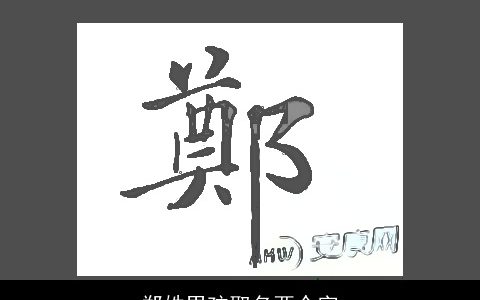 郑姓男孩取名两个字