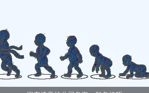 富有诗意的公司名字  起名技巧