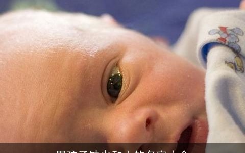 男孩子缺火和土的名字大全