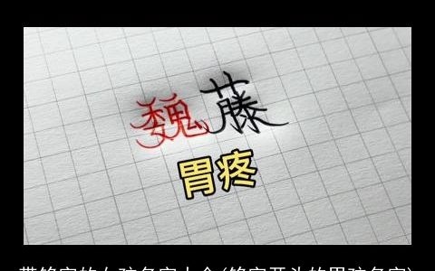 带铭字的女孩名字大全(铭字开头的男孩名字)