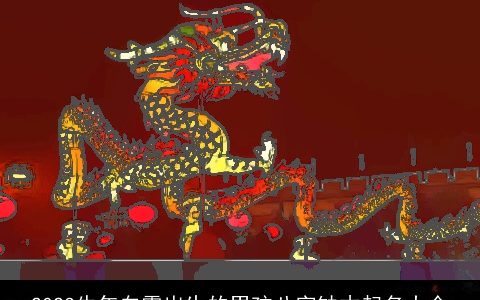 2024牛年白露出生的男孩八字缺木起名大全