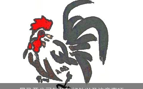 属龙开公司起名的好处以及注意事项