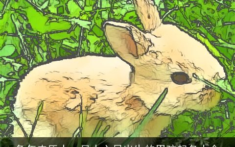 兔年农历十一月十六日出生的男孩起名大全