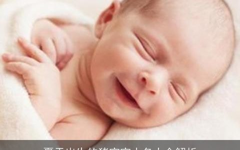 夏天出生的猪宝宝小名大全解析