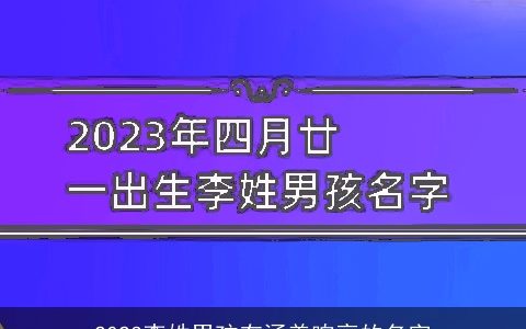 2024李姓男孩有涵养响亮的名字